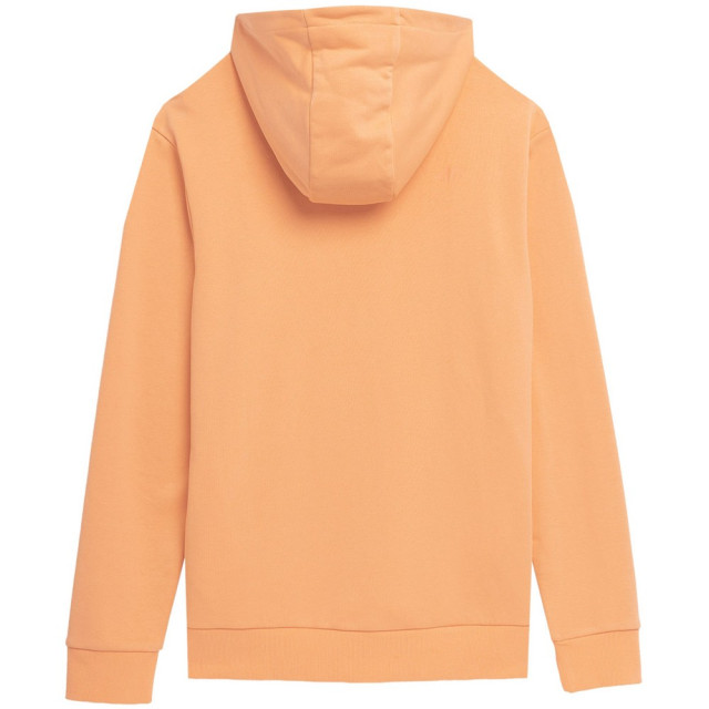 4F Heren m266 hoodie UTMR1855_salmon large
