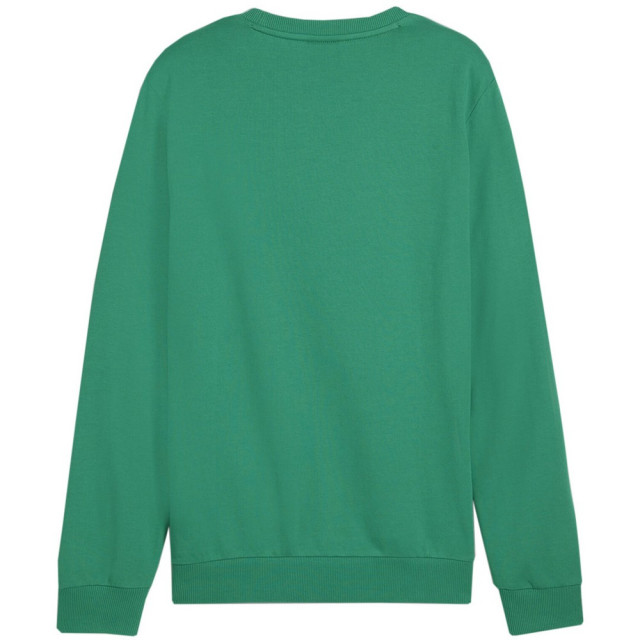 Puma Heren team doel sweatshirt UTMR1446_green large