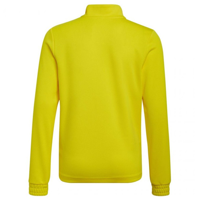 Adidas Kinderen/kinderen entrada 22 trainings sweatshirt UTMR1554_yellow large