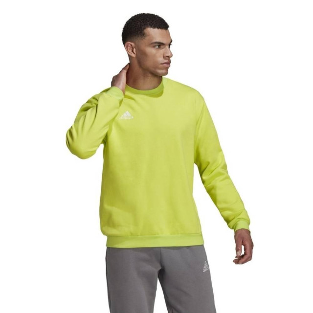 Adidas Heren entrada 22 sweatshirt UTMR528_green large