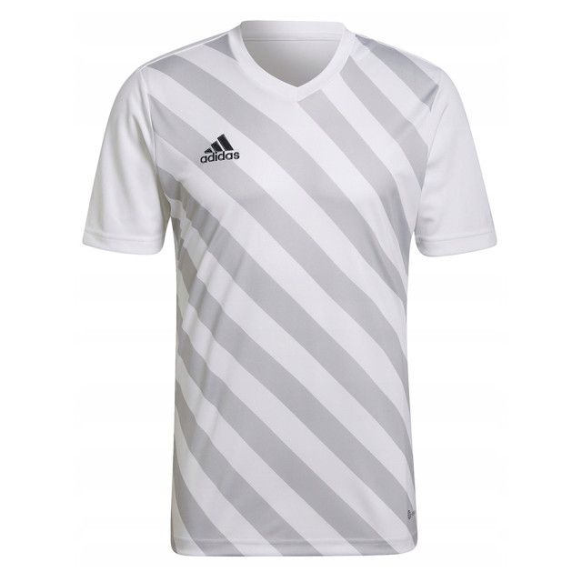 Adidas Heren entrada 22 grafische trui UTMR572_white large