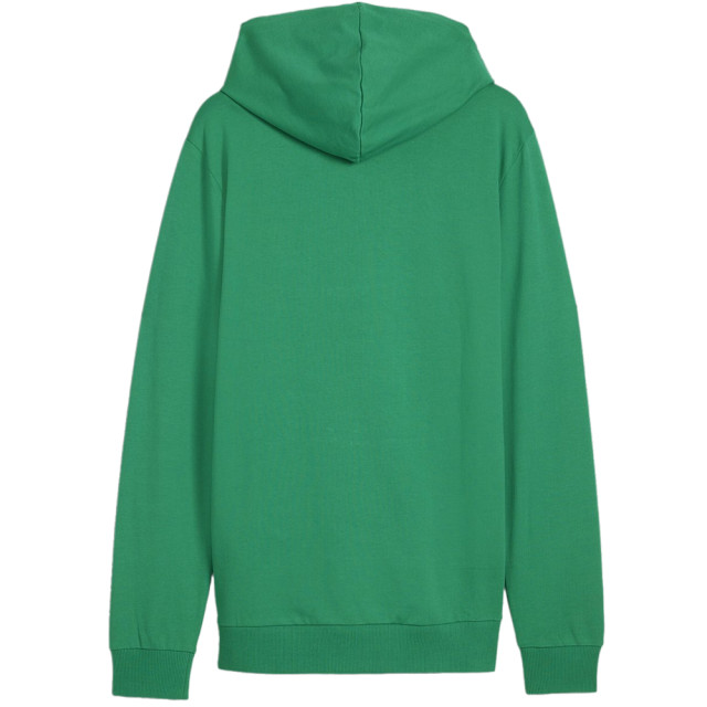 Puma Heren team doel hoodie UTMR757_green large
