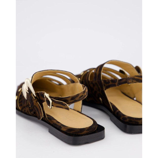 Toral TL-MADISON-Bruin Ballerina's Bruin TL-MADISON-Bruin large
