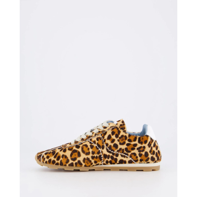 Toral TL-VINCI-leopard Ballerina's Beige TL-VINCI-leopard large
