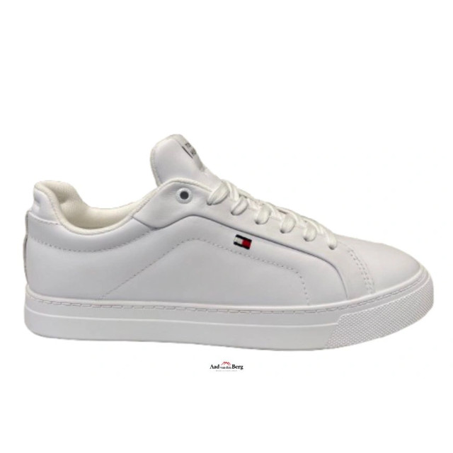 Tommy Hilfiger Herenschoenen sneakers FM0FM05317 large