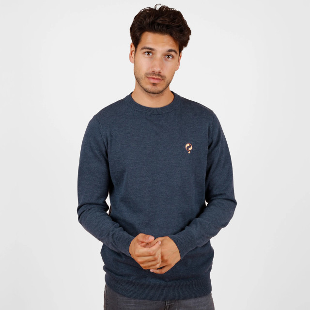 Q1905 Trui felland jeans melange QM2344235-627-1 large
