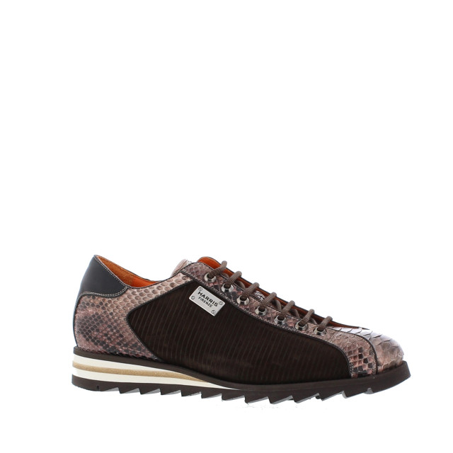 Harris 2817 heren sneaker snake | heren | maat: | combinatie 107983 large