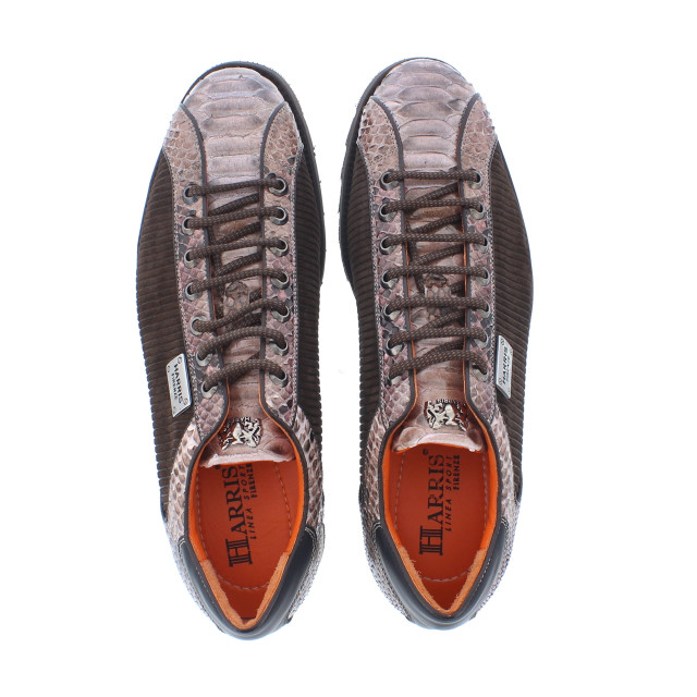 Harris 2817 heren sneaker snake | heren | maat: | combinatie 107983 large