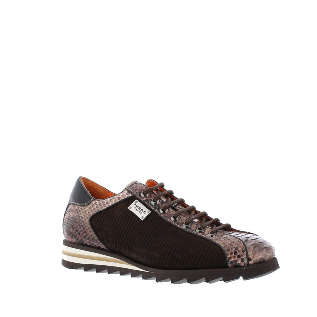 Harris 2817 heren sneaker snake | heren | maat: | combinatie 107983 large