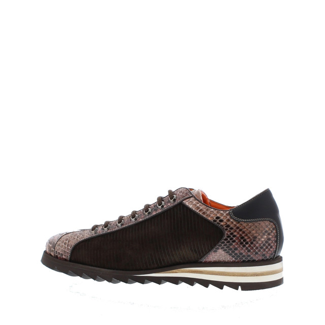 Harris 2817 heren sneaker snake | heren | maat: | combinatie 107983 large