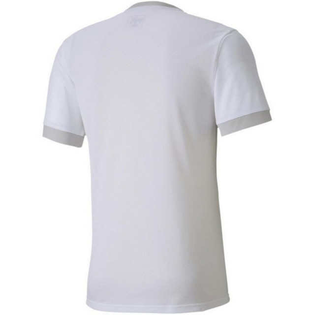 Puma Heren teamgoal 23 jersey UTMR605_white large