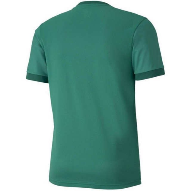 Puma Heren teamgoal 23 jersey UTMR605_green large