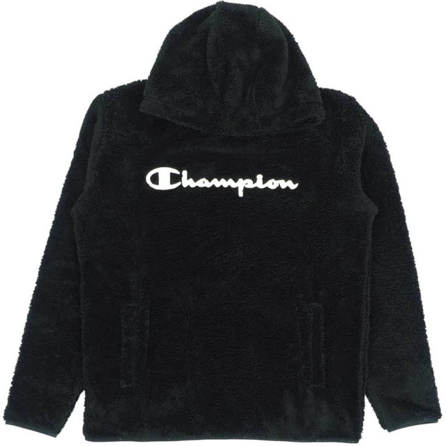 Champion Heren 220445 hoodie UTMR353_black large