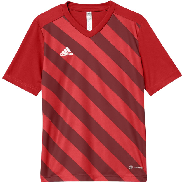 Adidas Heren entrada 22 grafische trui UTMR300_red large