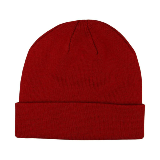 Champion Geborduurde logo beanie UTMR311_red large