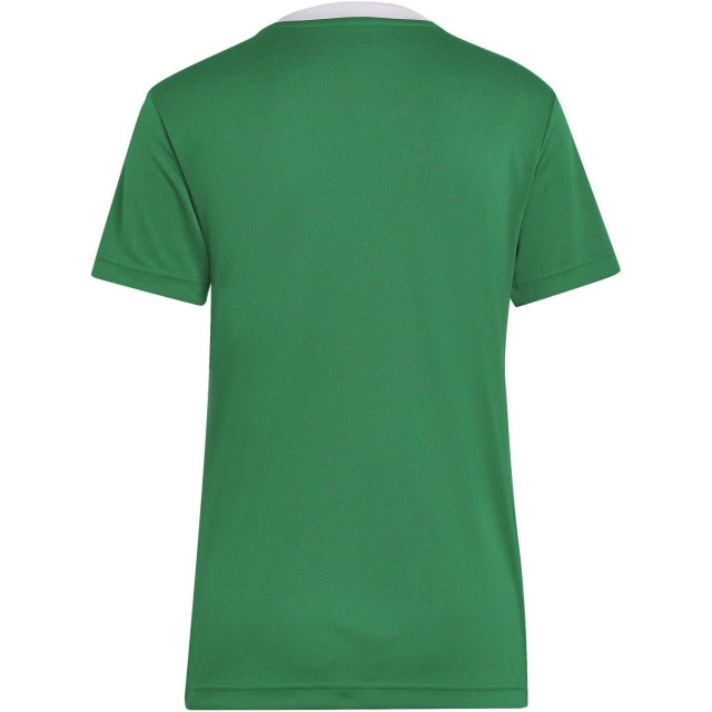 Adidas Dames entrada 22 jersey UTMR215_green large