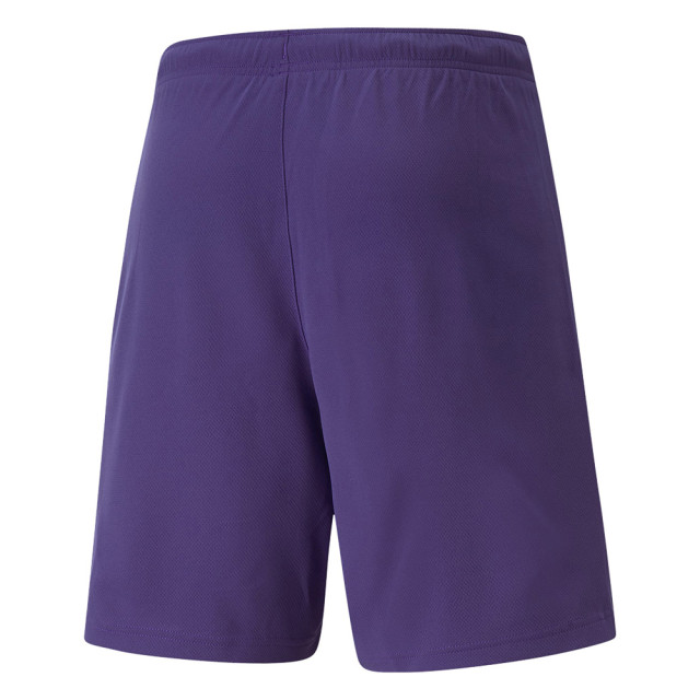 Puma Heren teamrise sweat shorts UTMR291_violet large