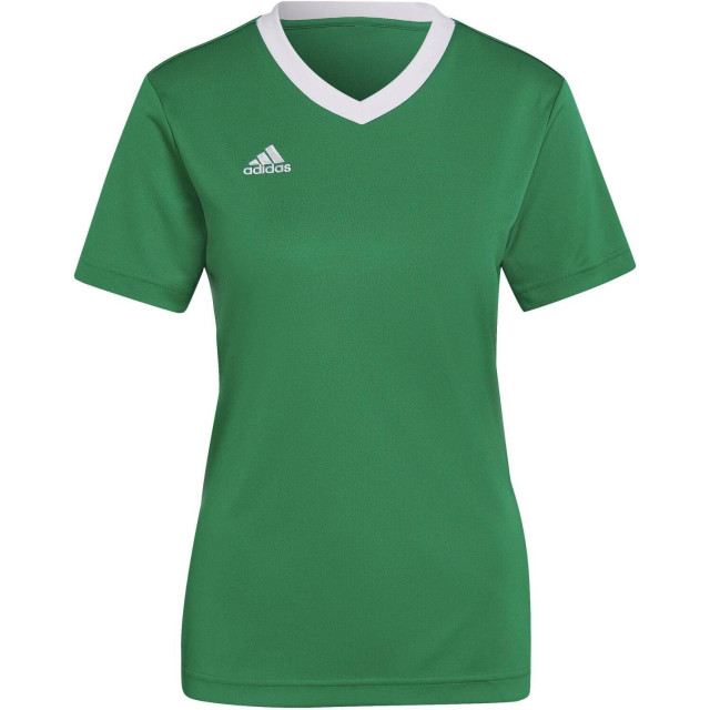 Adidas Dames entrada 22 jersey UTMR215_green large