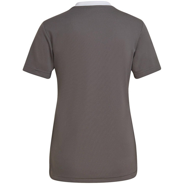 Adidas Dames entrada 22 jersey UTMR215_greysilver large