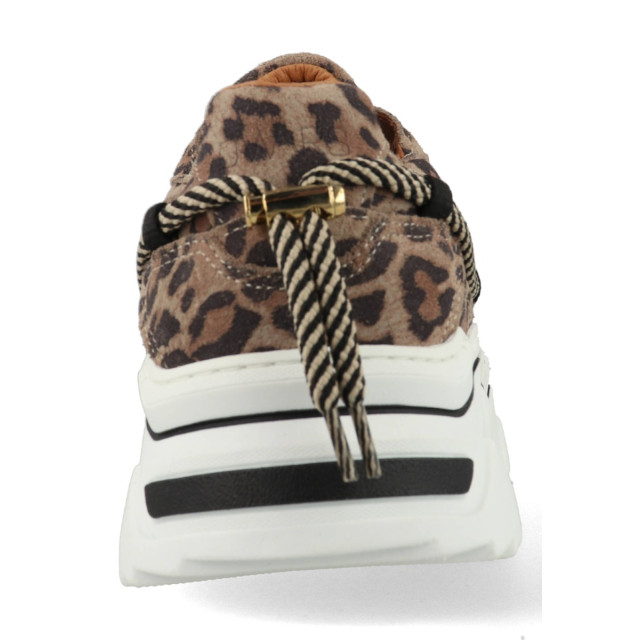 DWRS Label Jupiter leopard j5554c-77-8201 J5554C large