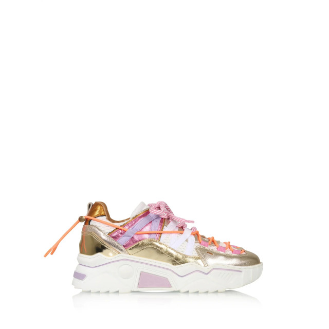 DWRS Label J6870 orion pink/champ J6870 large