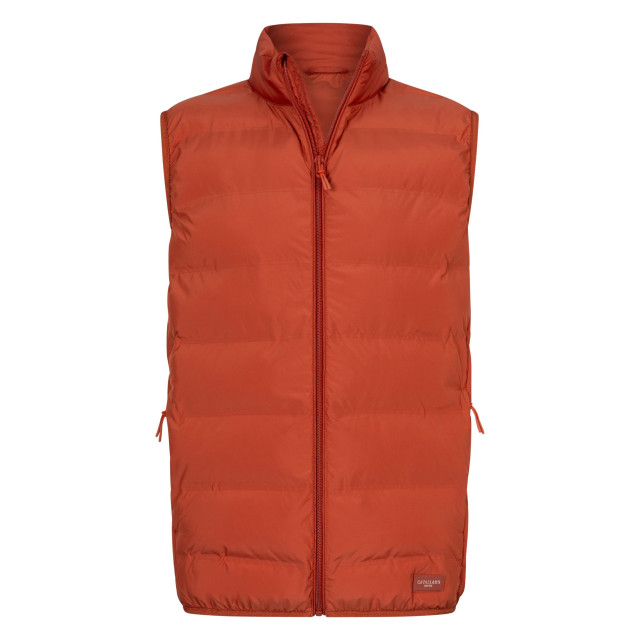 Cavallaro Gavigio bodywarmers 112251000 112251000 large