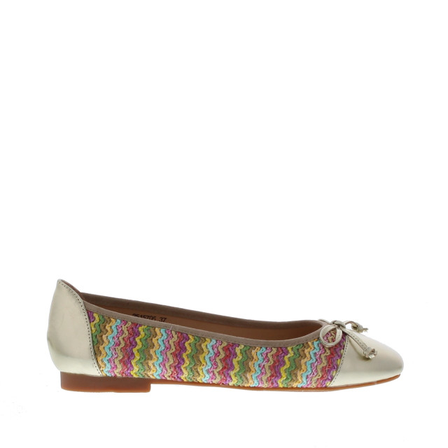 Si Azalea multi ballerina | dames | maat: | combinatie 110006 large
