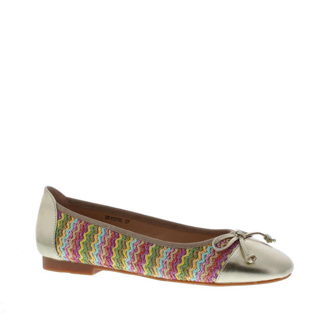 Si Azalea multi ballerina | dames | maat: | combinatie 110006 large