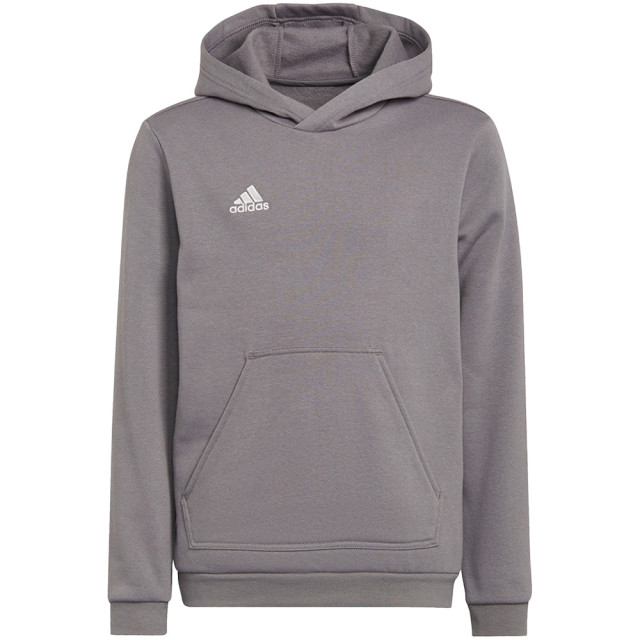 Adidas Kinderen/kinderen entrada 22 hoodie UTMR429_greysilver large