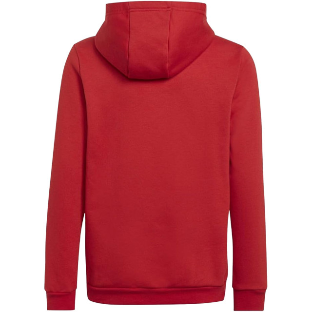 Adidas Kinderen/kinderen entrada 22 hoodie UTMR429_red large Adidas Kinderen/kinderen entrada 22 hoodie UTMR429_red large