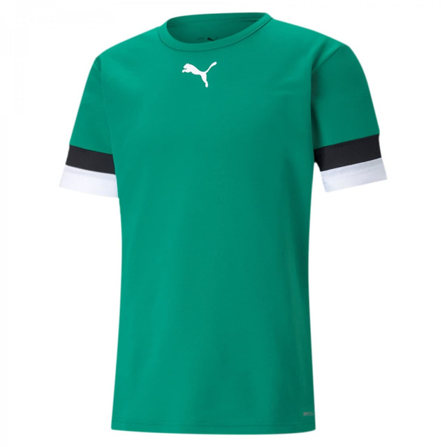 Puma Heren teamrise trui UTMR936_green large