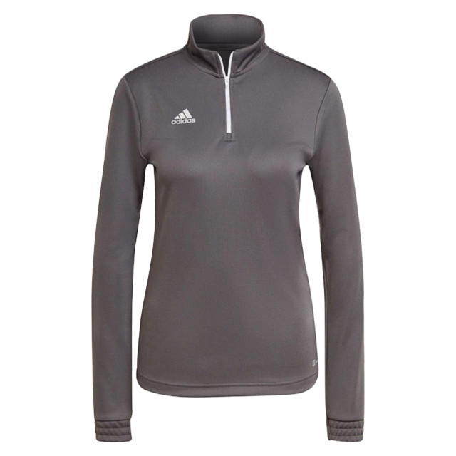 Adidas Dames entrada 22 sweatshirt UTMR424_greysilver large Adidas Dames entrada 22 sweatshirt UTMR424_greysilver large