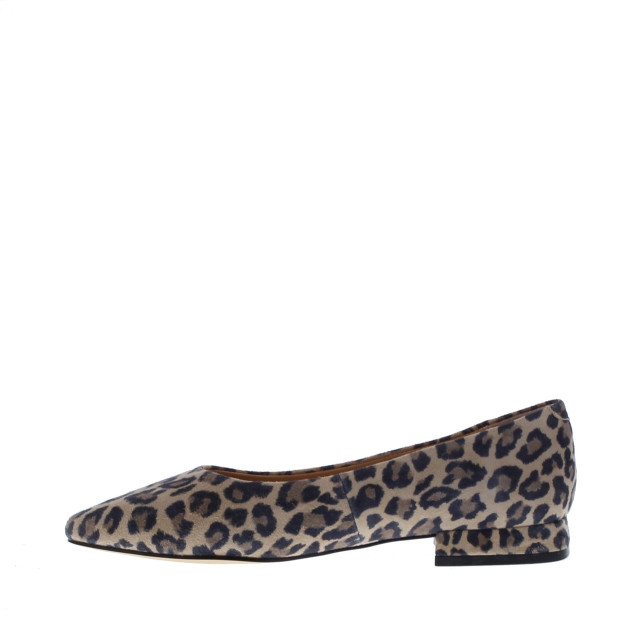 Di Lauro Alcan tara ballerina spits | dames | maat: | suede 110016 large