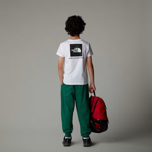 The North Face Casual t-shirt jongens NF0A89VT large