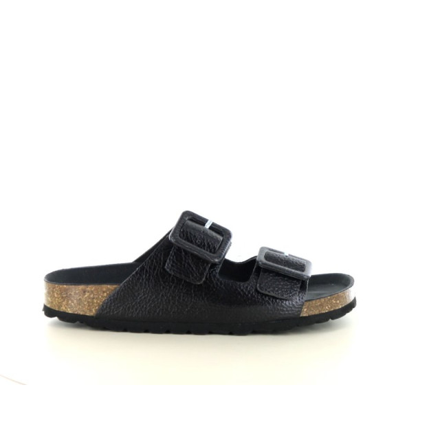 Verbenas Randell 281.90.276 large