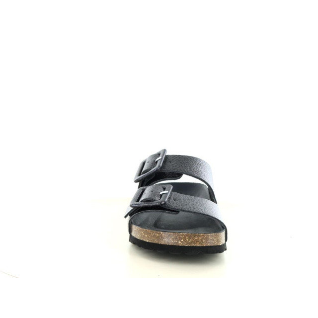 Verbenas Randell 281.90.276 large