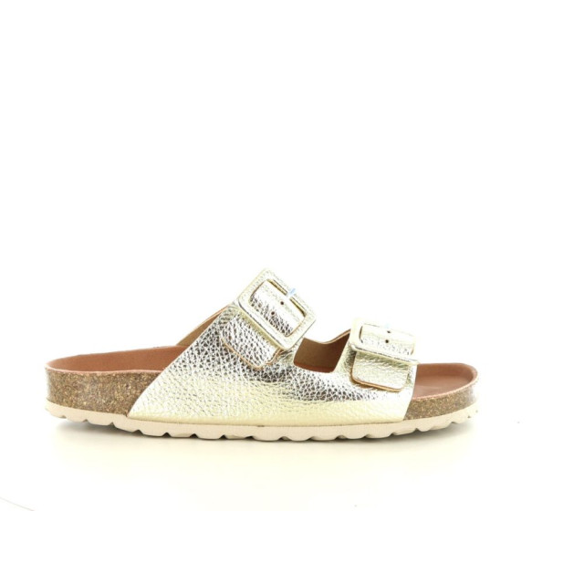 Verbenas Randell 281.98.275 large