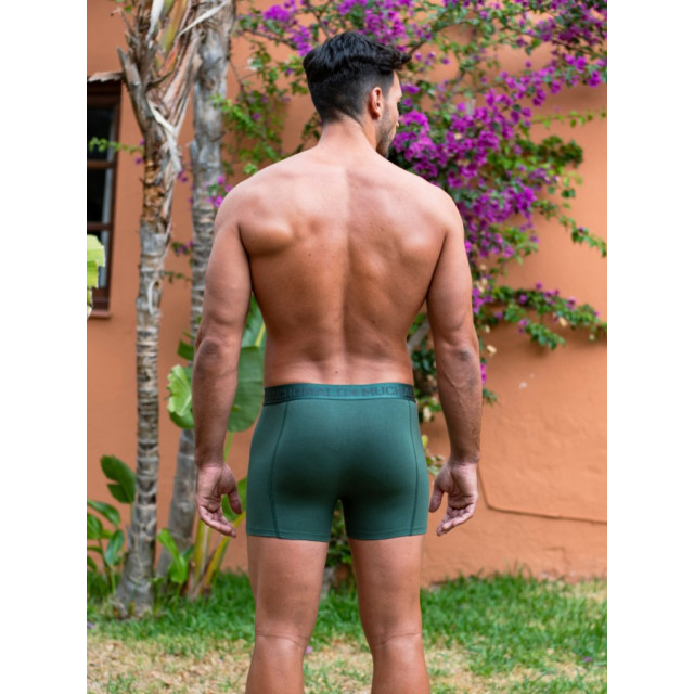 Muchachomalo Men 2-pack boxer shorts koala - Print/Green/Men 2-pack Boxer Shorts print/ large