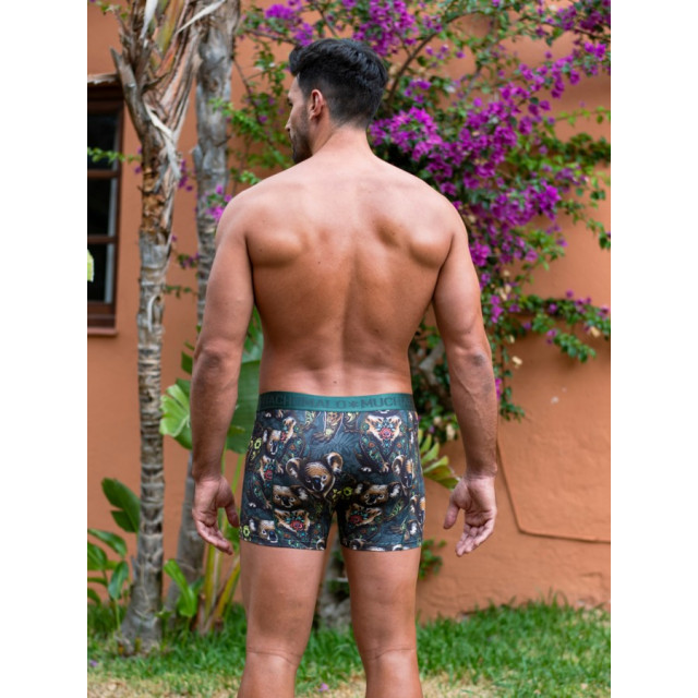 Muchachomalo Men 2-pack boxer shorts koala - Print/Green/Men 2-pack Boxer Shorts print/ large