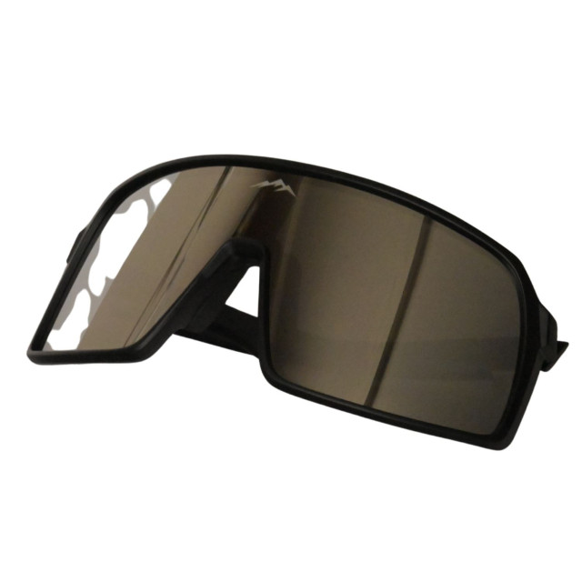 Buckels Fietsbril 9406 large