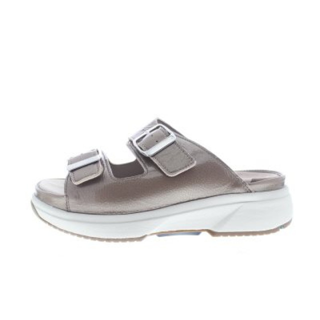 Xsensible 30707.5/301 Slippers Bruin 30707.5/301 large