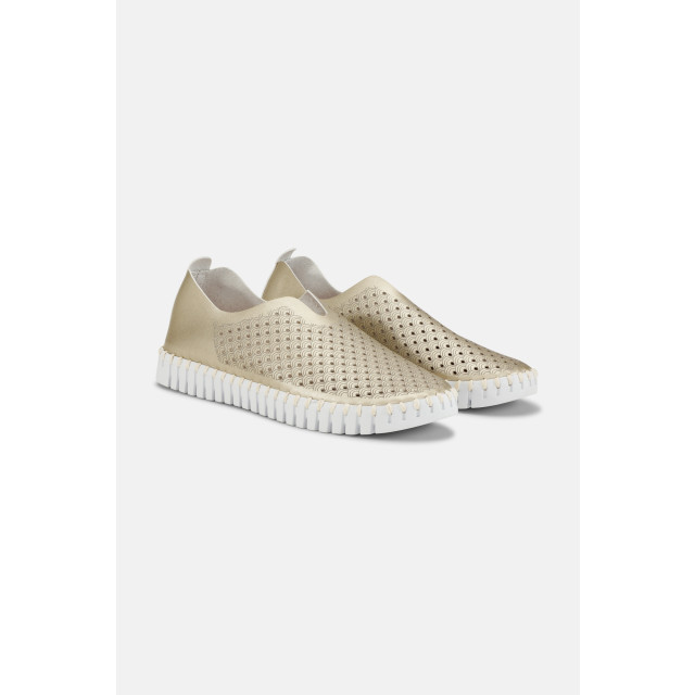 Ilse Jacobsen Tulip TULIP3576-780 large