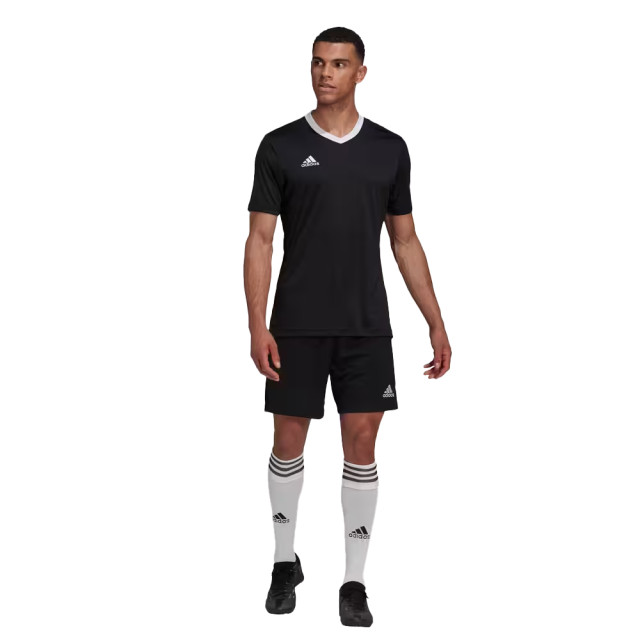 Adidas Heren entrada 22 t-shirt UTMR724_black large