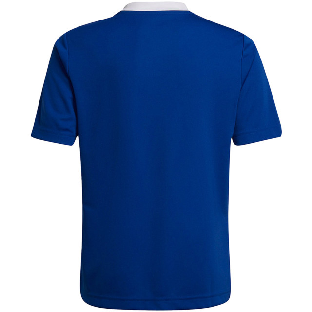 Adidas Kinderen/kinderen entrada 22 t-shirt UTMR702_blue large