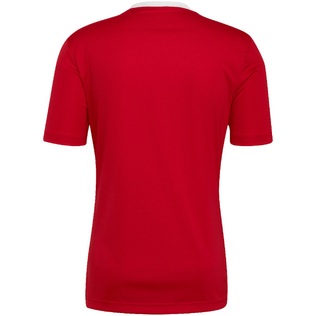Adidas Heren entrada 22 t-shirt UTMR724_red large