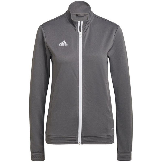 Adidas Dames entrada 22 track jacket UTMR828_grey large