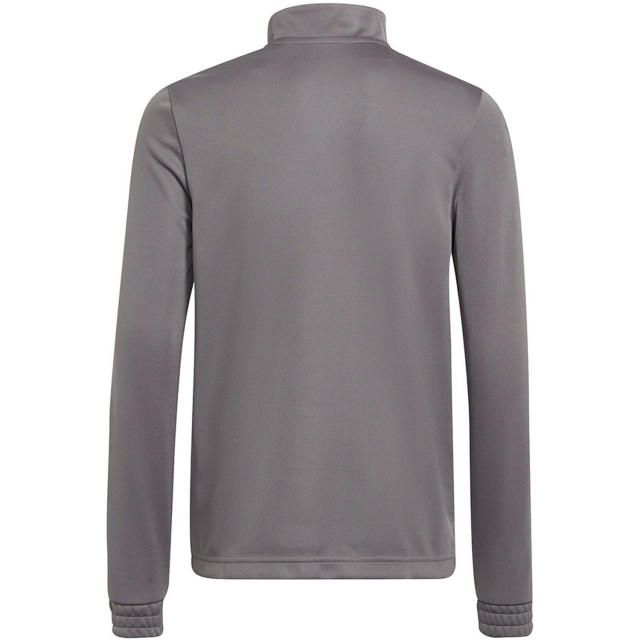 Adidas Kinder/kids entrada 22 trainings top UTMR979_grey large