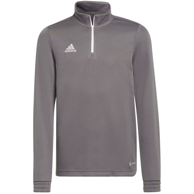 Adidas Kinder/kids entrada 22 trainings top UTMR979_grey large