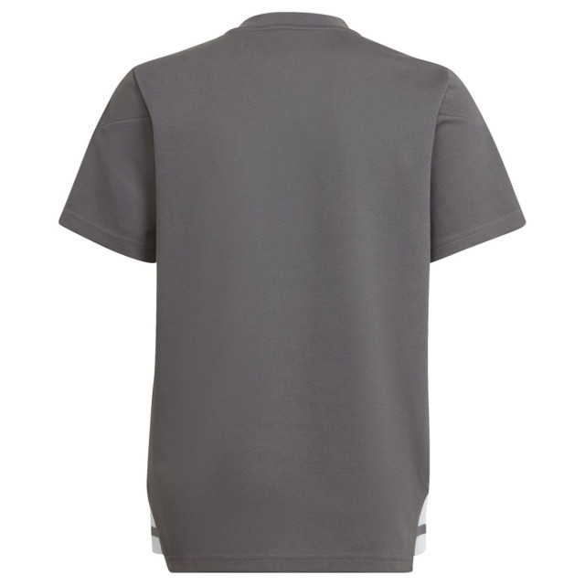 Adidas Kinder/kinder condivo 22 poloshirt UTMR1263_grey large