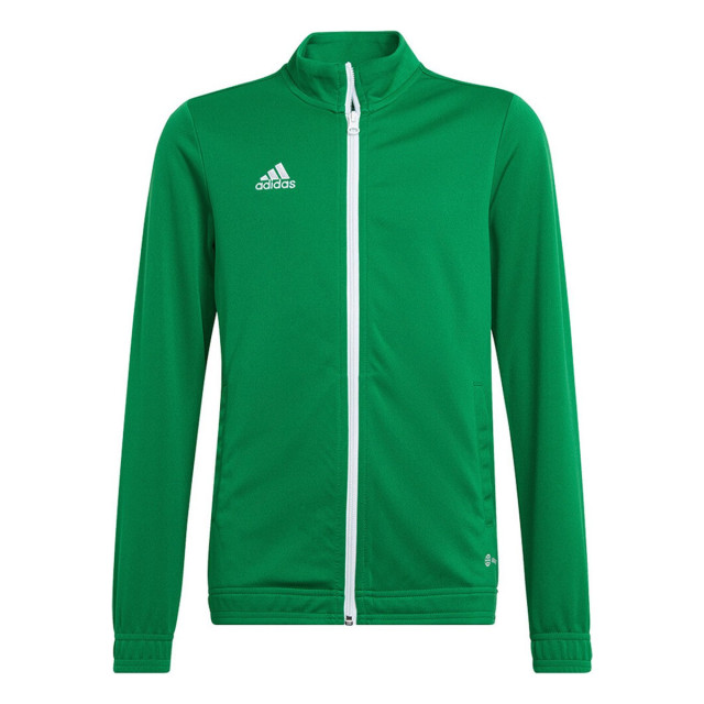 Adidas Kinder/kinder entrada 22 track jacket UTMR1465_green large